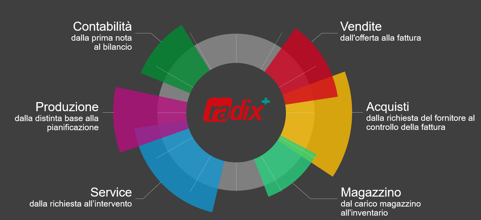 Radix+ il gestionale di nuova generazione