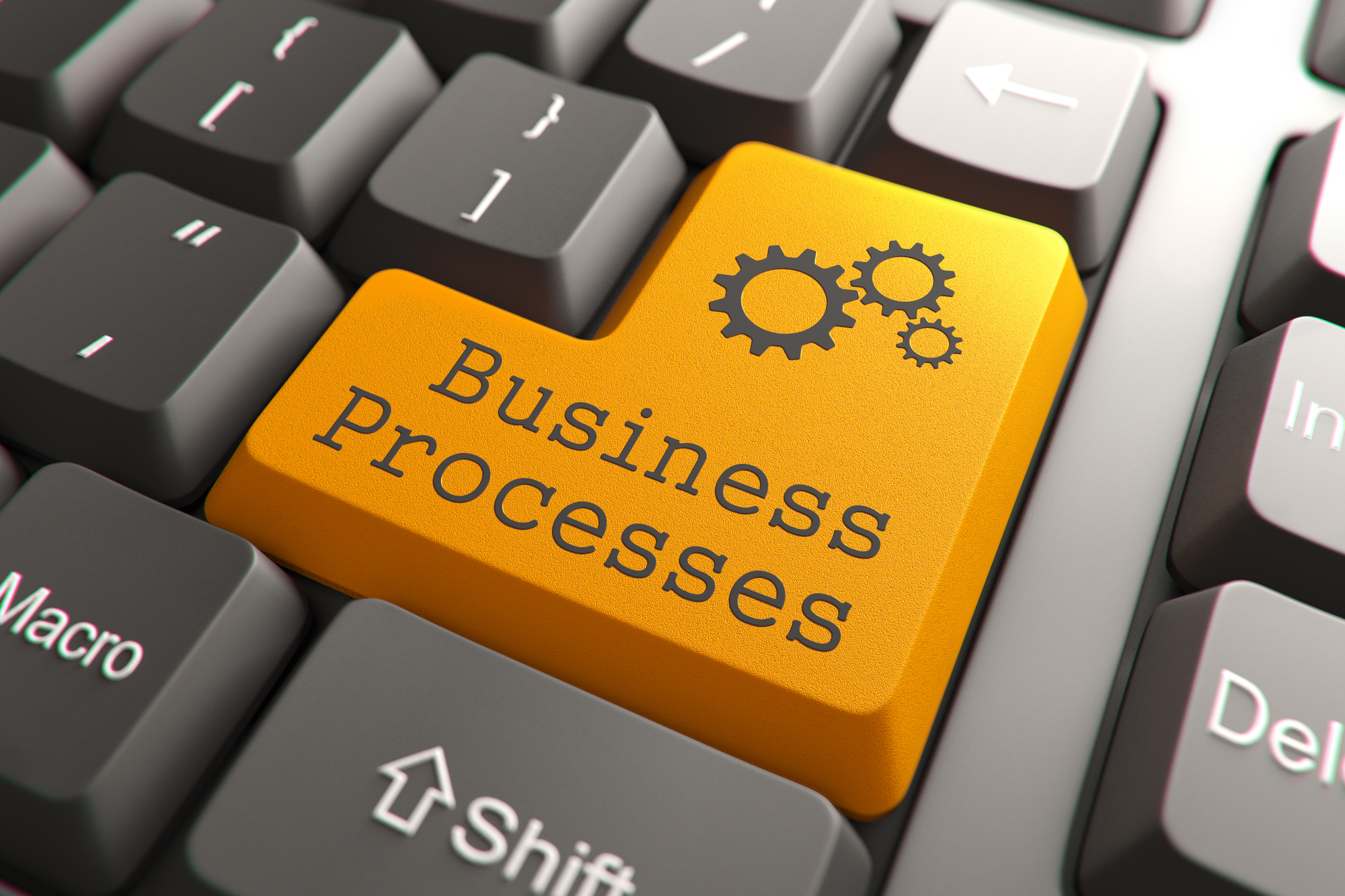 ERP Radix - software stampa gestita - software office automation