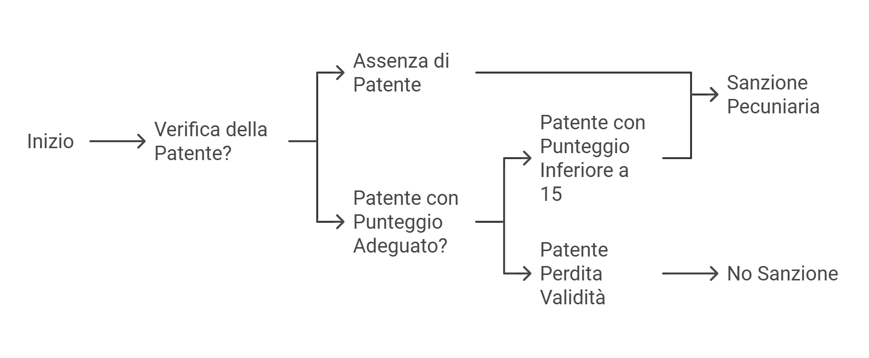 verifica della patente e sanzioni