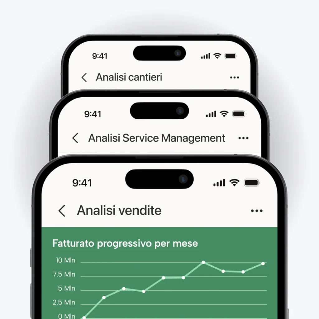 Business-Intelligence-Settori